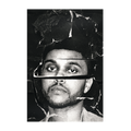 BEAUTY BEHIND THE MADNESS POSTER
